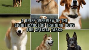 A brief overview of the significance of training dogs for special tasks