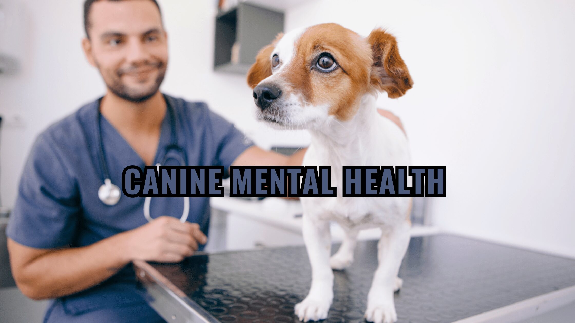 Canine Mental Health Understanding