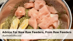Title advice for new raw feeders optimized Barky Supplies Expert Tips