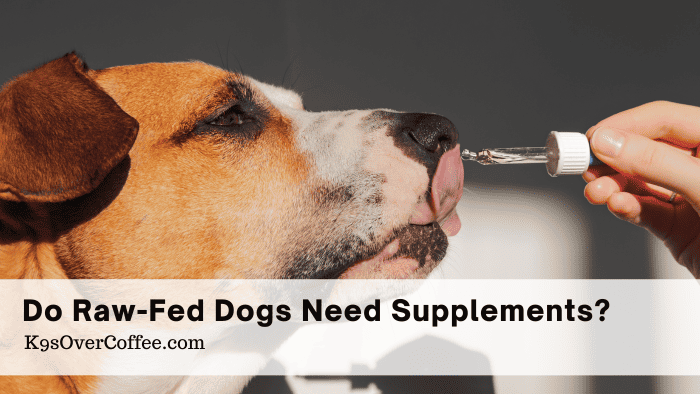 Raw-fed Dogs: Do They Need Synthetic Supplements?
