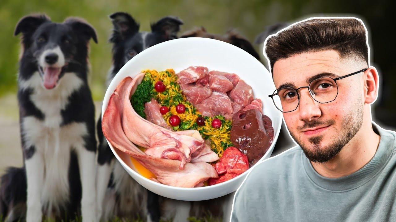 Best Raw Food Diet For Dogs: Undeniable Truths "Experts" Won't Tell You