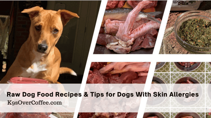Dog Allergy Friendly Raw Food: Recipes & Tips for Dogs with Allerg