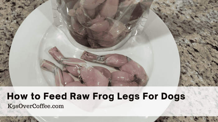 Feed Raw Frog Legs Dogs