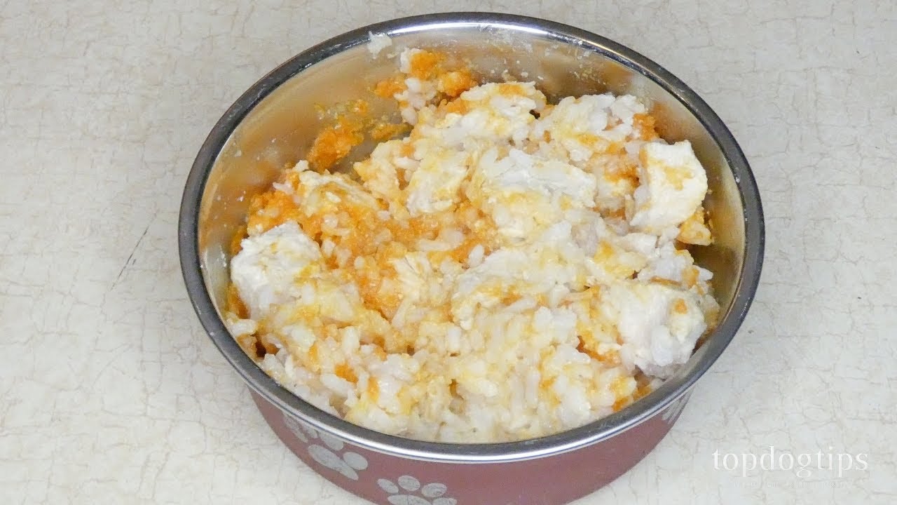 Chicken rice dog food upset stomach