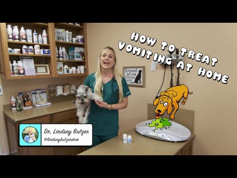 Treat Vomiting at Home
