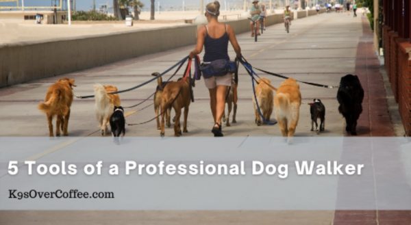 Professional dog walker tools
