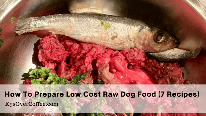 Budget-Friendly Raw Dog Food