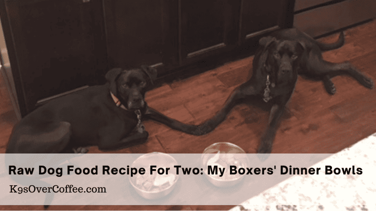 Easy Raw Dog Food Recipe for Two Active Pups