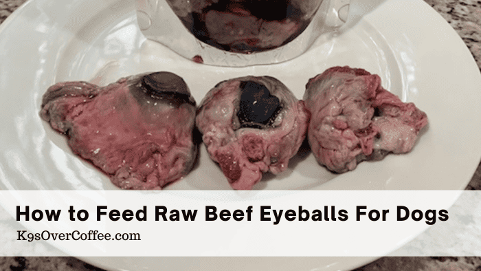 How To Feed Raw Beef Eyeballs For Dogs – Advanced Level – K9sOverCoffee