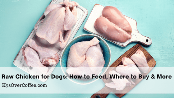 Raw Chicken for Dogs