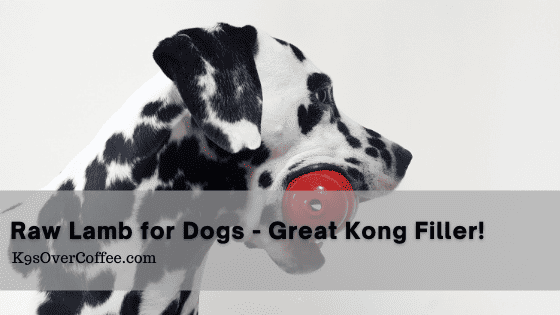 Raw Lamb For Dogs Makes A Great Kong Filler – K9sOverCoffee