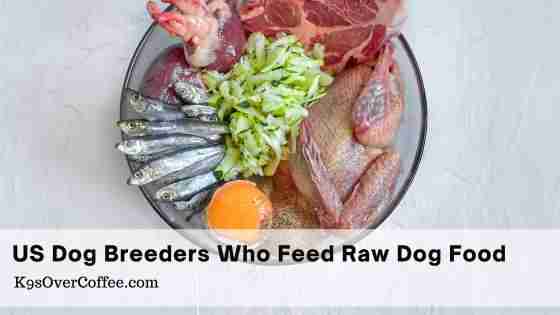 Find Raw Dog Food Breeders in the USA | K9sOverCoffee