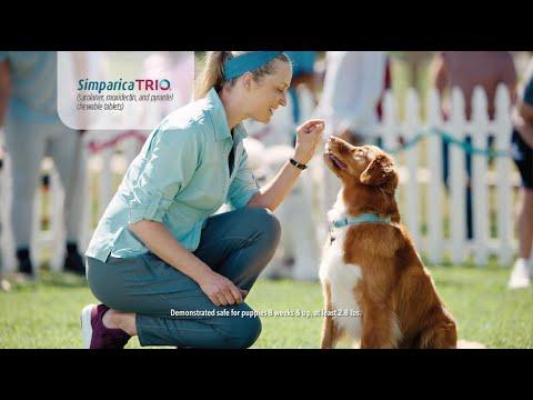 Simparica Trio TV Ad: Winning Parasite Protection
