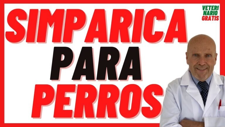 Barky Supplies Expert Tips SIMPARICA for Dogs - Fleas & Ticks: Sizes & Prices SIMPARICA for Dogs - Fleas & Ticks: Sizes & Prices