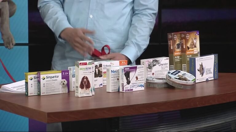 Barky Supplies Expert Tips Best Dog Flea & Tick Meds: Keep Your Pup Protected Best Dog Flea & Tick Meds: Keep Your Pup Protected