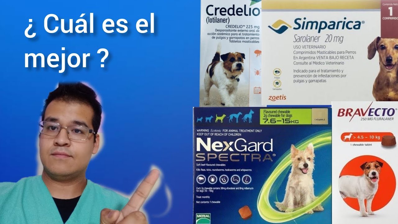 Best Flea & Tick Tablets for Dogs & Cats in Morocco