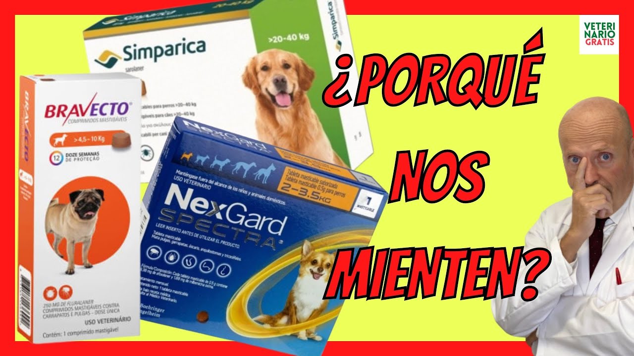 Choosing Dog Flea & Tick Pills: Nexgard, Bravecto, Simparica