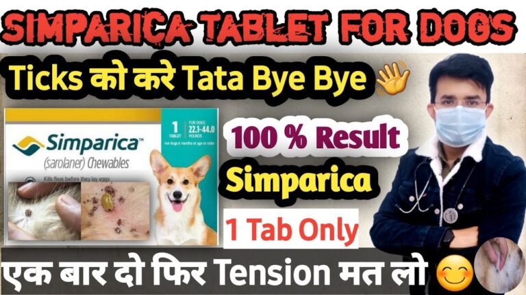 Barky Supplies Expert Tips Simparica for Dogs: Effective Tick Removal Simparica for Dogs: Effective Tick Removal