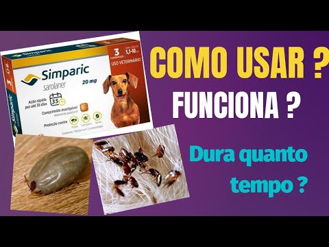 Simparic for Dogs: Use Safely