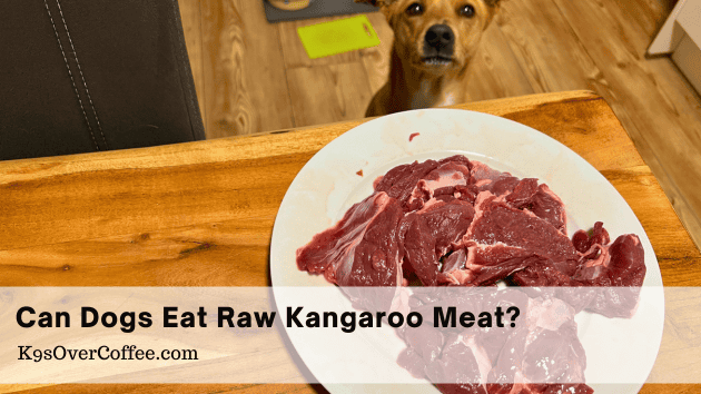 Kangaroo Raw Dog Food – K9sOverCoffee