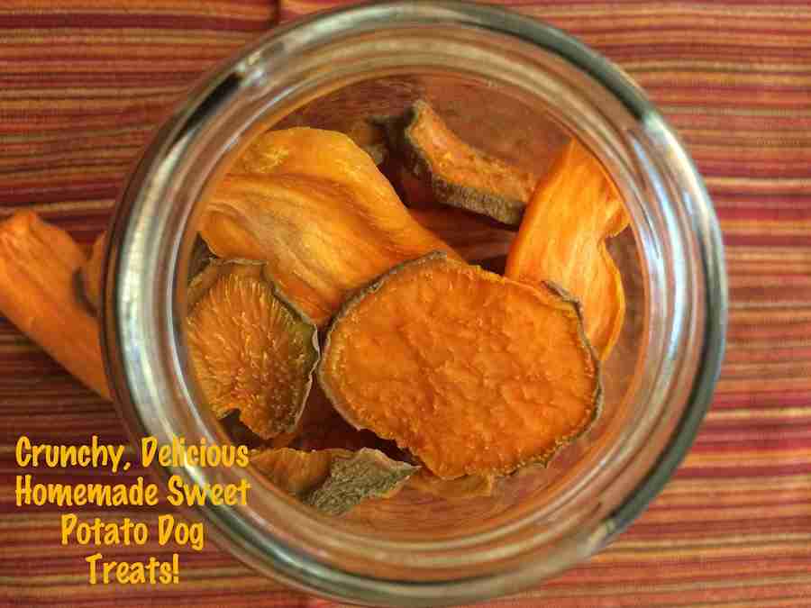 How To Make Dehydrated Sweet Potato Dog Treats – K9sOverCoffee