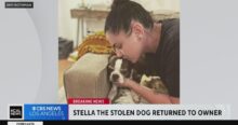 Stolen Dog Reunited with Owner