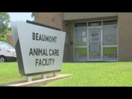Houston Team Assists Beaumont Animal Care Shelter