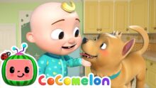 Pet Care Song (Bingo’s Version) | CoComelon Animal Time | Animals for Kids
