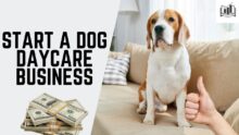 How to Start a Dog Daycare Business | A Simple Method for Starting and Opening a Dog Daycare at Home