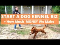 Start a Dog Kennel Business- HOW MUCH WE ARE MAKING! & Ups and Downs…