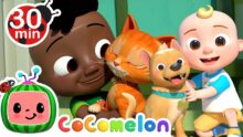 Easy Pet Care Tips | We Love Our Pets | CoComelon Furry Friends | Animals for Kids