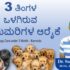 Dr. Aswathy’s Puppy Care Guide in Malayalam (0–3 Months!)