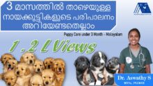 Dr. Aswathy’s Puppy Care Guide in Malayalam (0–3 Months!)