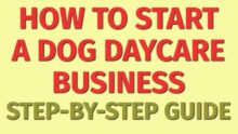 Starting a Dog Daycare Business Guide | How to Start a Dog Daycare Business | Dog Business Ideas