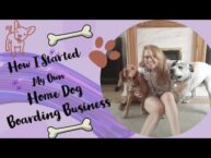 Unveiling My Journey: Starting a Home Dog Boarding Business
