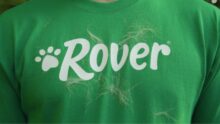 Rover’s Guide to Real Pet Care at Home