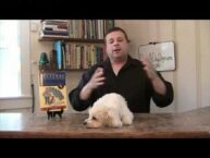 Unleash Success: How to Start a Dog Daycare Business