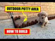 Unleash Backyard Bliss: Create a DIY Dog Potty Paradise