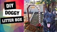 Crafting Comfort: DIY Dog Litter Box and Potty Area Project