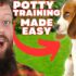 Master Puppy Potty Training: Prevent Indoor Accidents in 1 Week