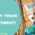 Ace Apartment Dog Training: Tips to Thrive in Tight Spaces
