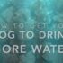 How to Get Your Dog to Drink More Water πΆπ§ Tips & Tricks