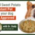 Taking Control of Your Dog’s Health: The Power of Just Food for Dogs DIY