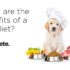 Raw Food Diet for Dogs: Dr. Becker Discusses Benefits