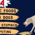 Top 10 Foods to Settle Your Dog’s Upset Stomach