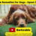 Easy Prey Model Raw Dog Food Recipe with 6 Ingredients
