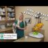 Dog Vomiting Water Not Eating? Here’s What To Do