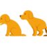 Can Dogs Eat Raw Chicken? Safety & Feeding Tips