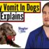 Understanding Puppy Vomiting: Causes & Solutions