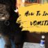 Should You Induce Vomiting in Your Dog? Risks & Alternatives